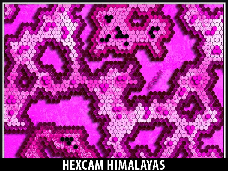 Hexcam Himalayas